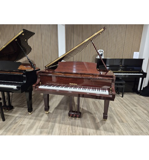 Wendl & Lung 178 Professional II (2006) - Occasion